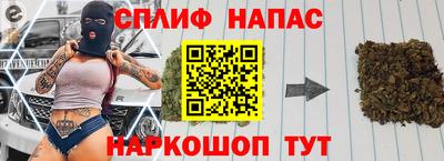 МДПВ Будённовск